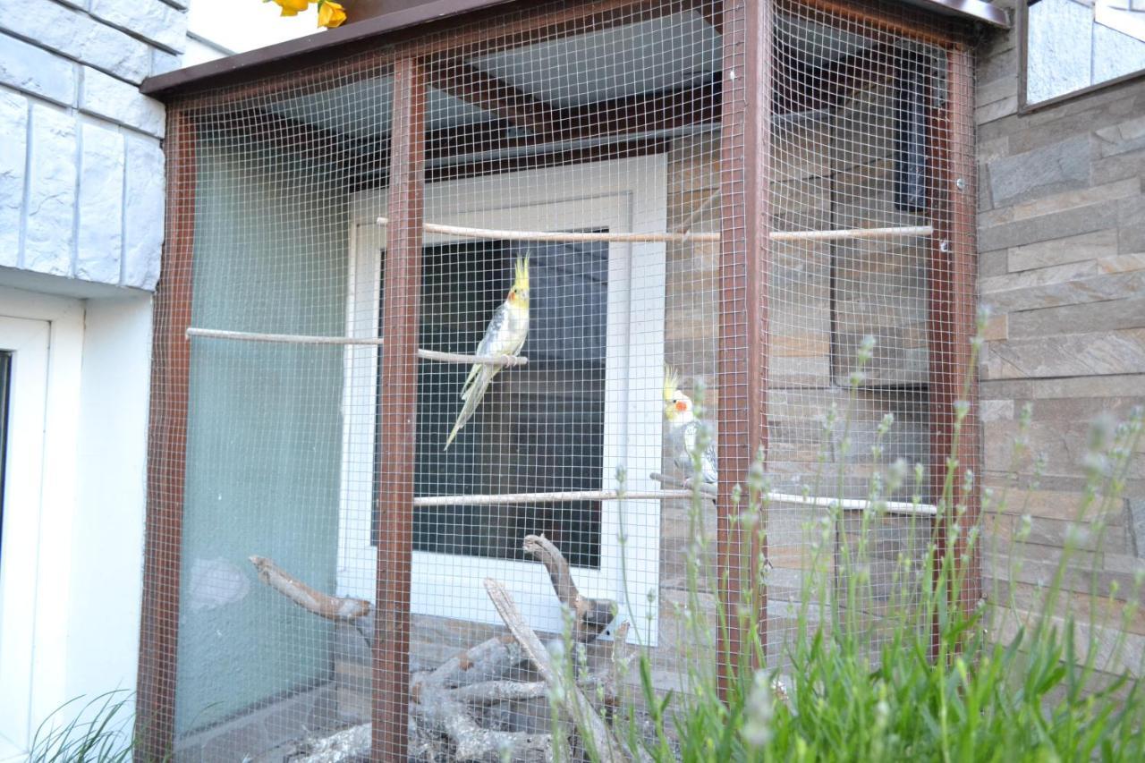 Pokoje Goscinne U Hanki Jastrzębia Góra Exterior foto